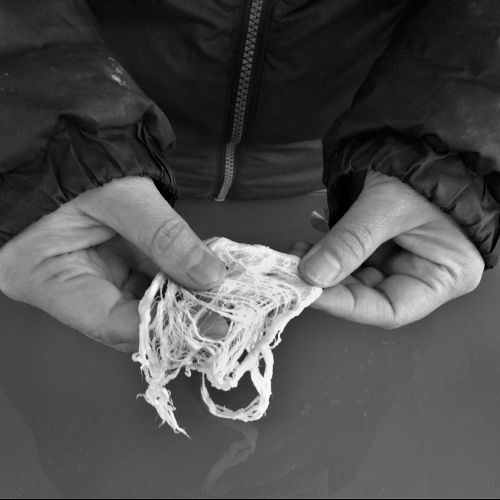 Miki Nakamura manipule de la fibre de mûrier